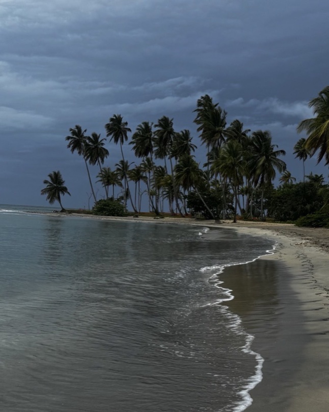 Costa dominicana al atardecer